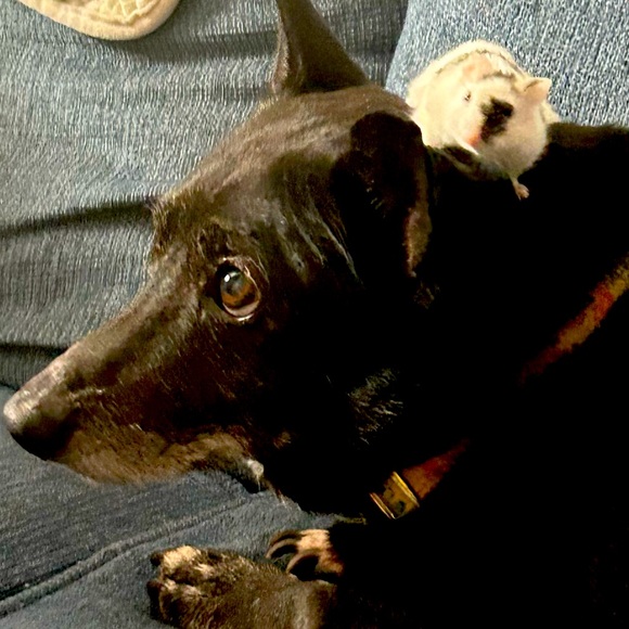 ✨Bookmark me✨ - Picture 12 of 16